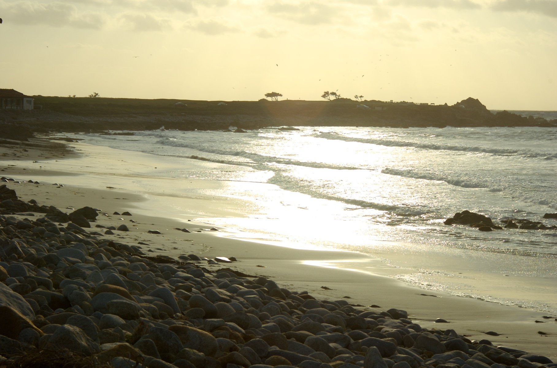 Picture taken between Monterey Aquarium and Pebble Beach